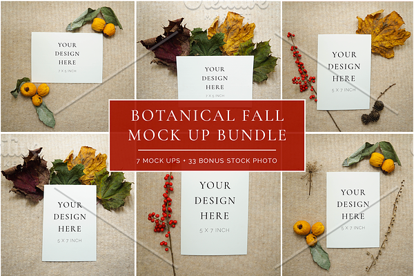 Botanical Fall Mock Up Bundle +Bonus