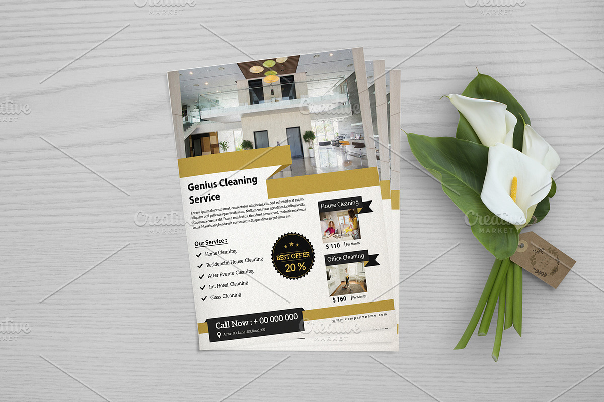 Cleaning Services Flyer  V717 in Flyer Templates - product preview 8