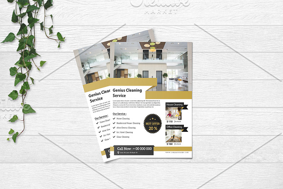 Cleaning Services Flyer  V717 in Flyer Templates - product preview 2