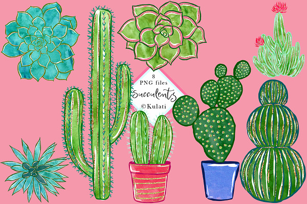 Cactus / Succulents clip art