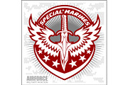 Fighter squadron airforce - military aviation