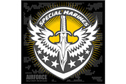 Fighter squadron airforce - military aviation