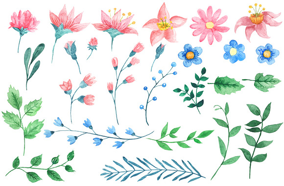 Watercolor Flower Bundle in Illustrations - product preview 1