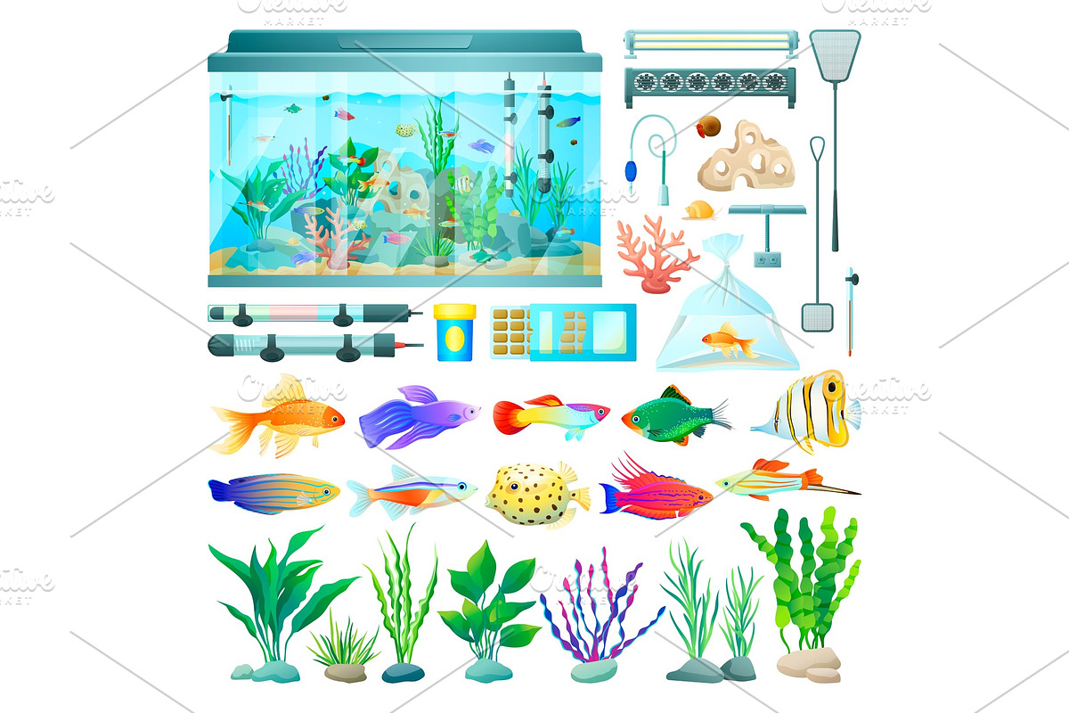 Aquarium and Fish Set of Icons Vector Illustration in Illustrations - product preview 8