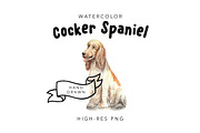 Watercolor Dog Portrait: Spaniel