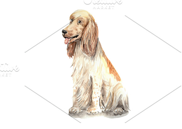 Watercolor Dog Portrait: Spaniel in Illustrations - product preview 1