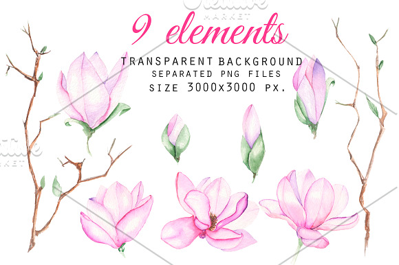 Spring Magnolia. Watercolor clip art in Illustrations - product preview 1