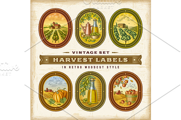 Vintage Colorful Harvest Labels Set in Illustrations - product preview 1
