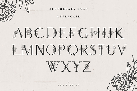 Apothecary Display Font in Display Fonts - product preview 4