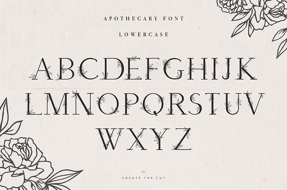 Apothecary Display Font in Display Fonts - product preview 5