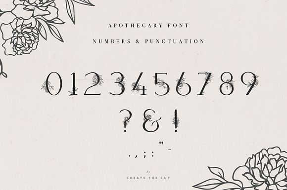 Apothecary Display Font in Display Fonts - product preview 6