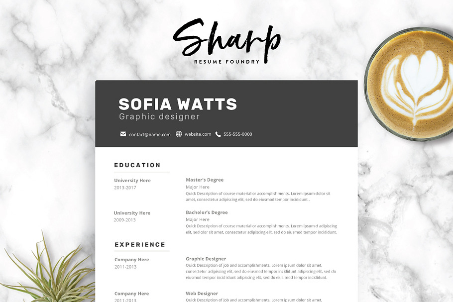 Modern Resume Template for Word in Resume Templates - product preview 8