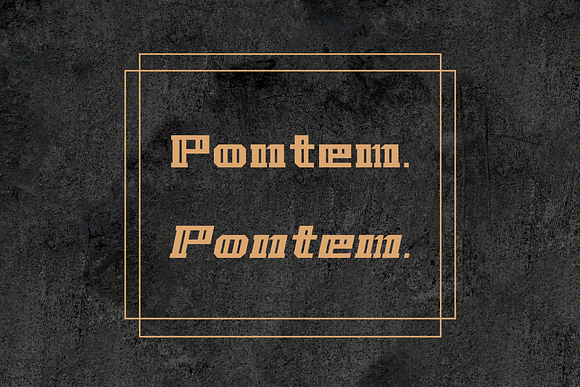 Pontem family-Bold*50% off in Display Fonts - product preview 7