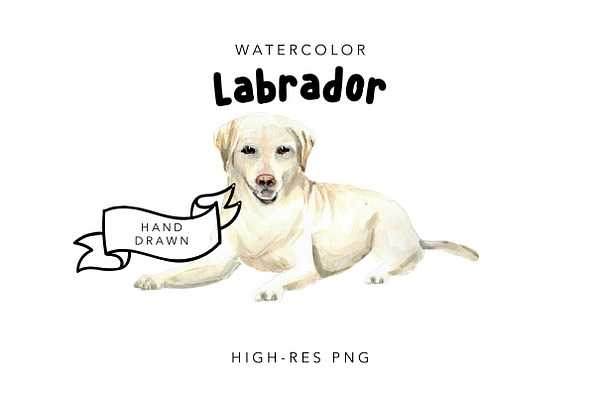 Labrador: Watercolor Dog Portrait