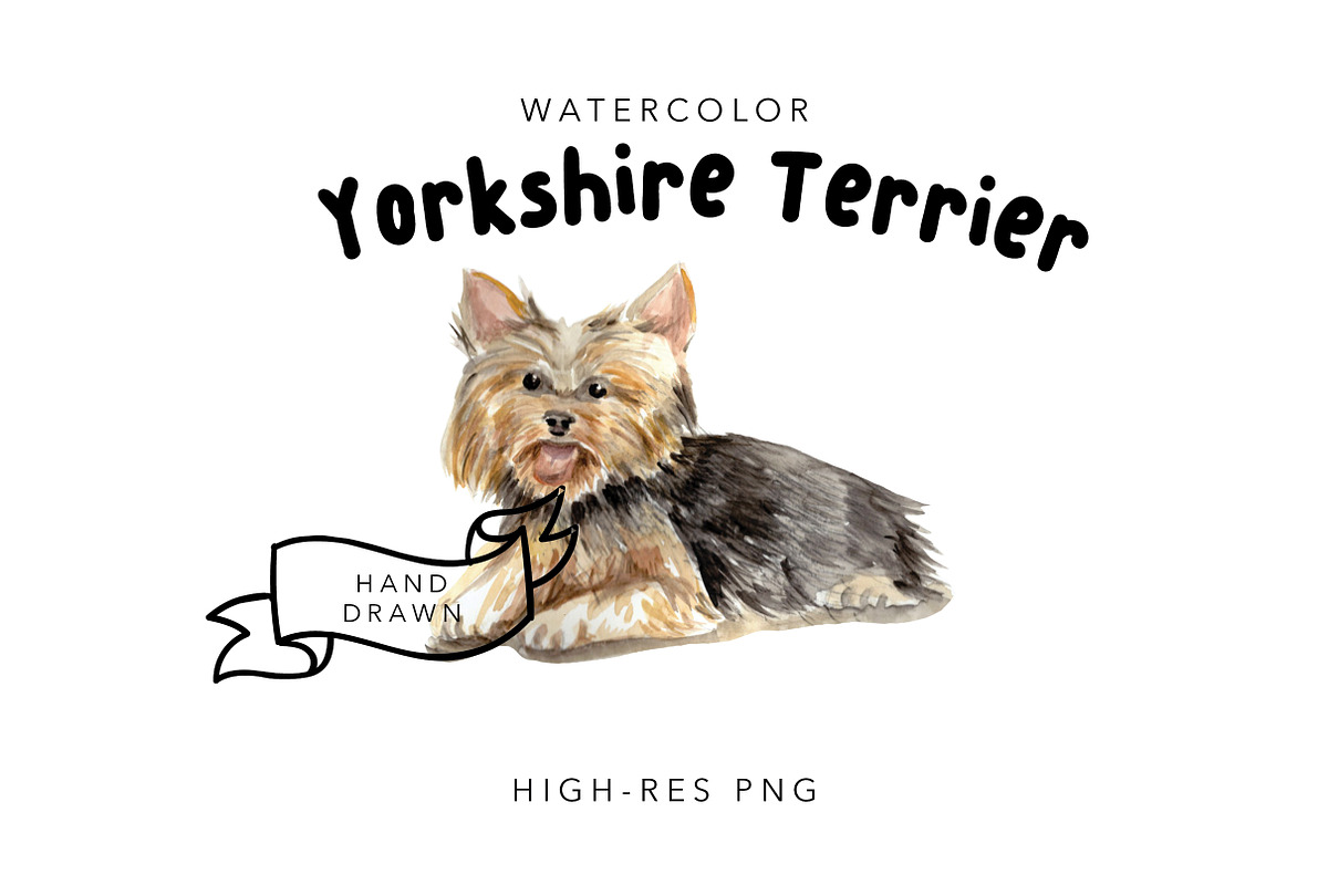 Watercolor Clipart Yorkshire Terrier in Illustrations - product preview 8