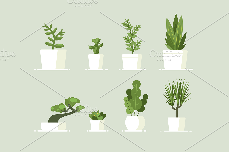 Houseplant in pots in Illustrations - product preview 8