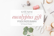 Eucalyptus Gift Stock Photo Bundle