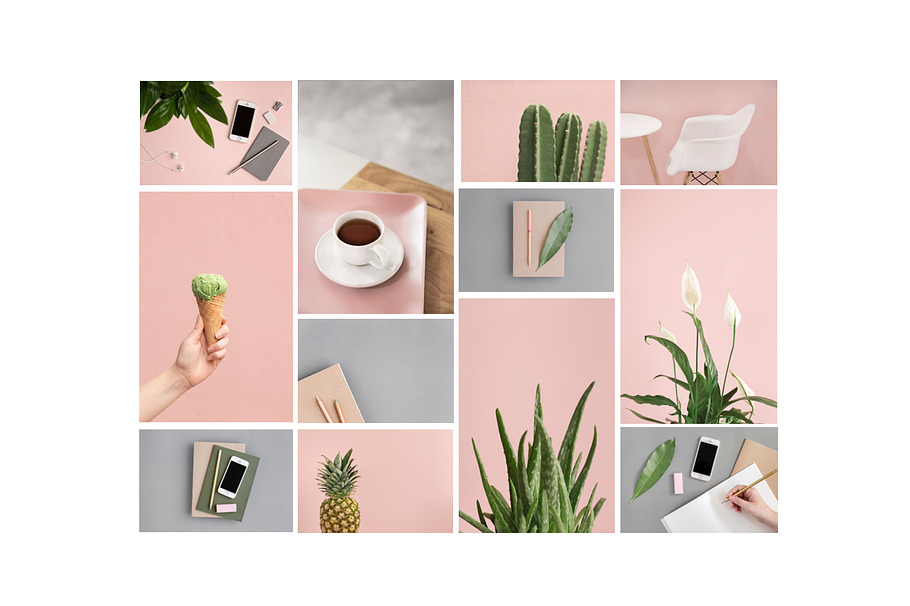Pink & Botanical Stock Photo Bundle in  - product preview 1