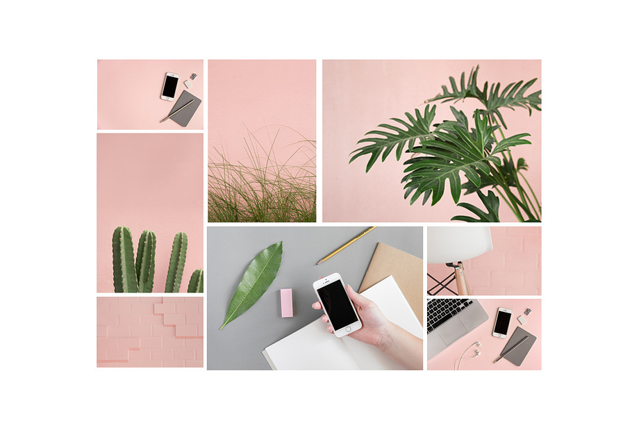 Pink & Botanical Stock Photo Bundle in  - product preview 2