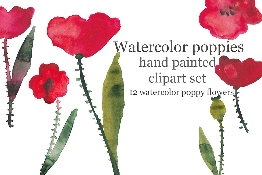 Watercolor poppies in Illustrations - product preview 8