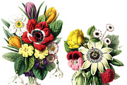 Vintage Botanical Bouquets