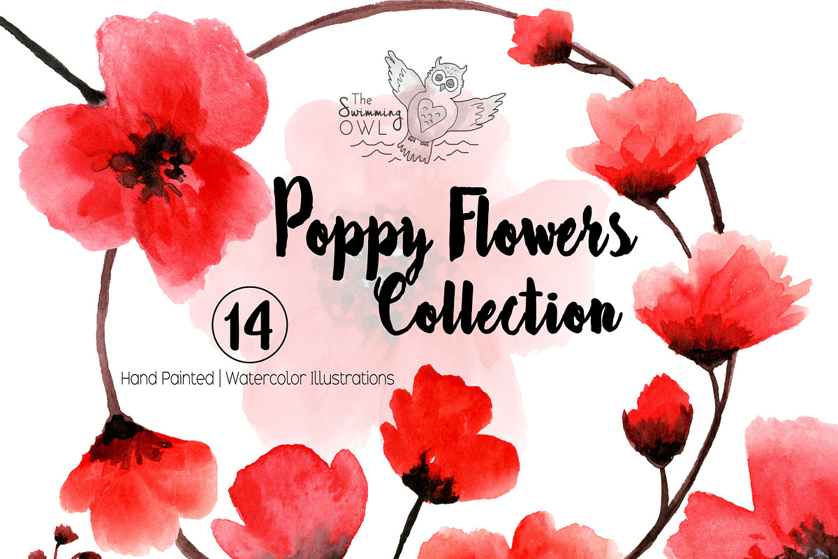 Poppy Flowers Watercolor Clipart in Illustrations - product preview 8