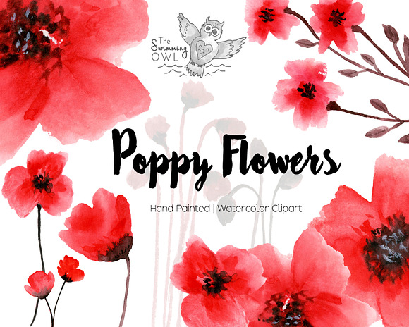 Poppy Flowers Watercolor Clipart in Illustrations - product preview 1