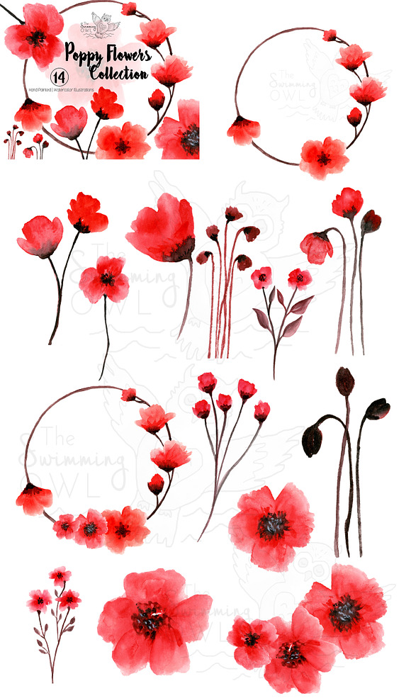 Poppy Flowers Watercolor Clipart in Illustrations - product preview 2