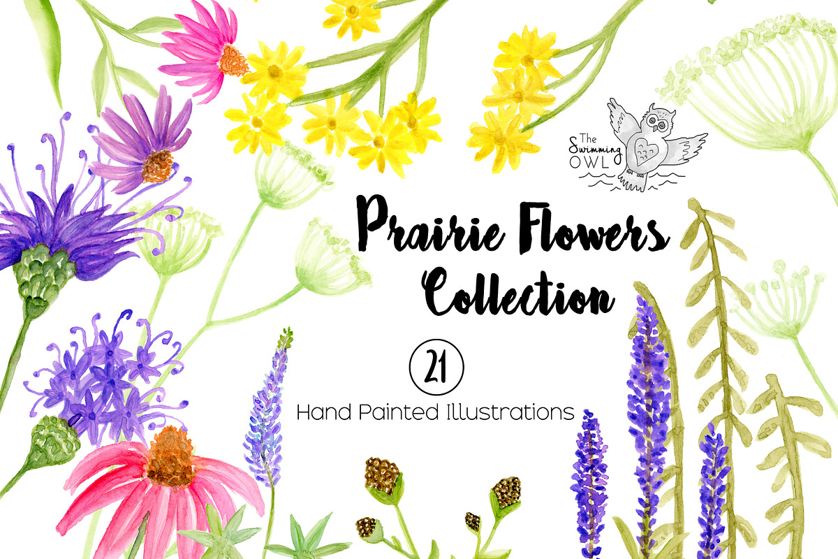 Prairie Flowers Watercolor Clipart in Illustrations - product preview 8
