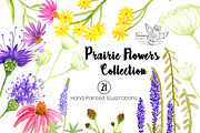 Prairie Flowers Watercolor Clipart