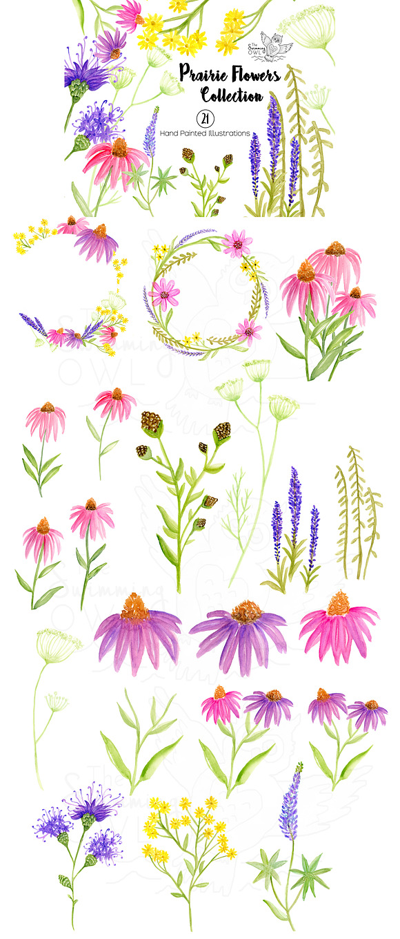 Prairie Flowers Watercolor Clipart in Illustrations - product preview 1