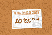 20 Hand Drawn Leaves