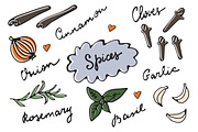 Spices graphics and patterns