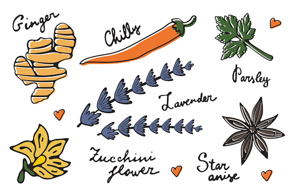 Spices graphics and patterns in Illustrations - product preview 1