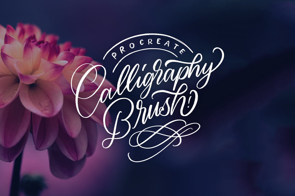 Procreate Calligraphy Brush in Photoshop Brushes - product preview 8