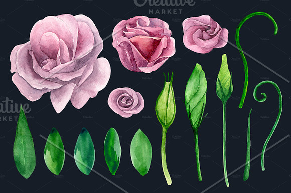 Watercolor lisianthus clip art in Illustrations - product preview 2