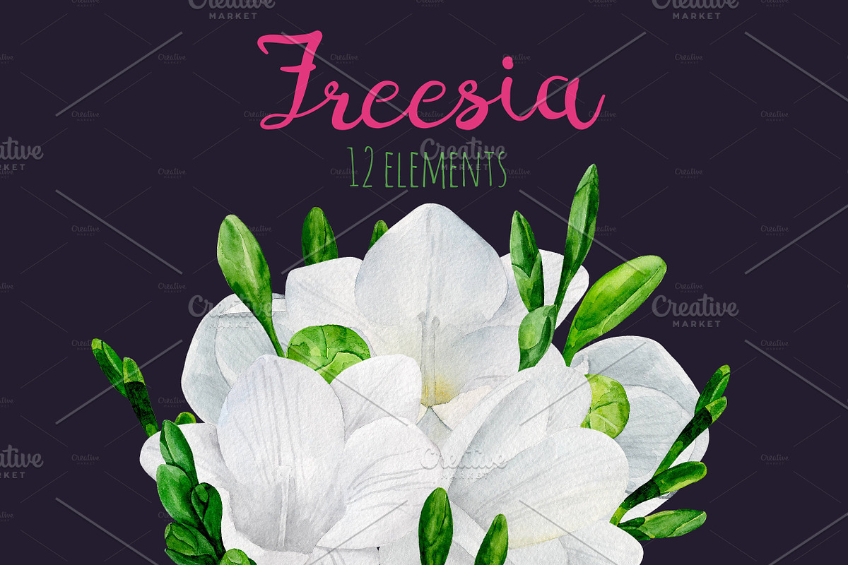Watercolor white freesia clip art in Illustrations - product preview 8