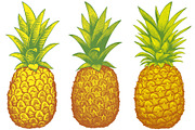 Gold Pineapples