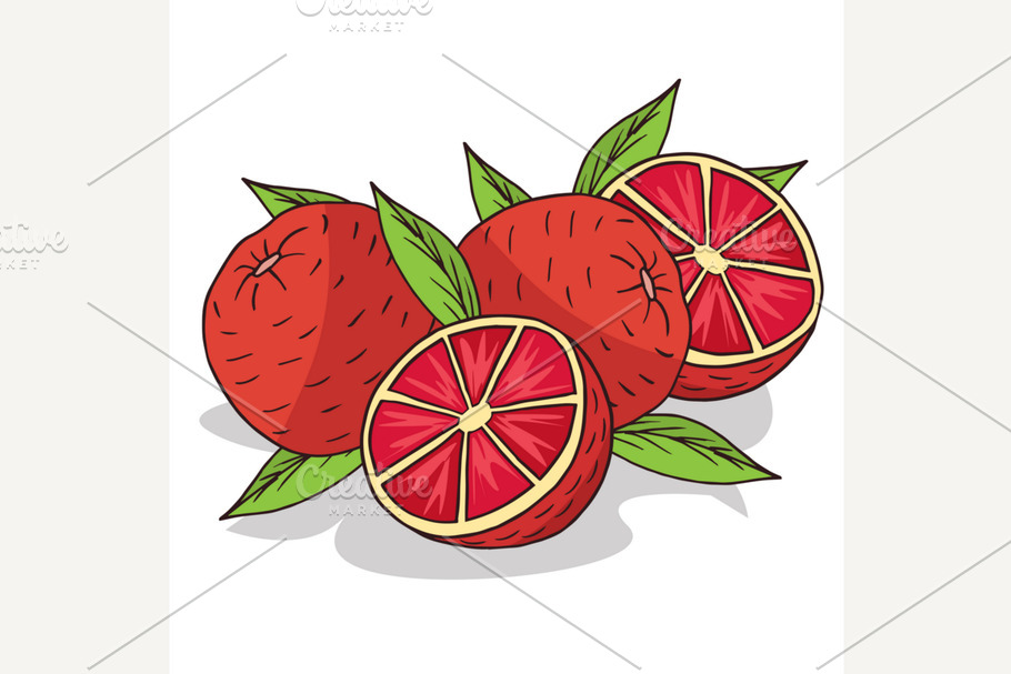 Isolate ripe grapefruit fruit in Illustrations - product preview 8