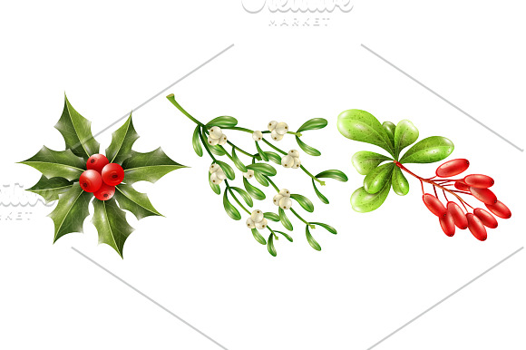 Christmas Berry Set in Illustrations - product preview 2