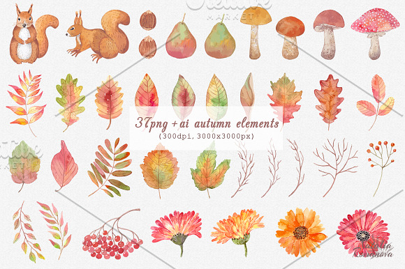 Autumn watercolor collection in Illustrations - product preview 1