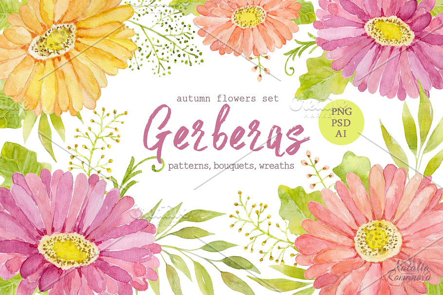 Watercolor set of gerbera flowers