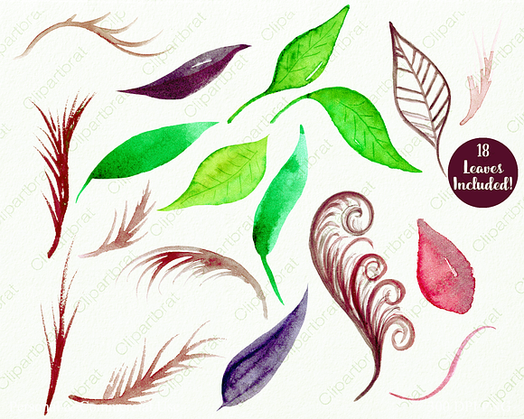 Exotic Watercolor Floral Graphics in Illustrations - product preview 2