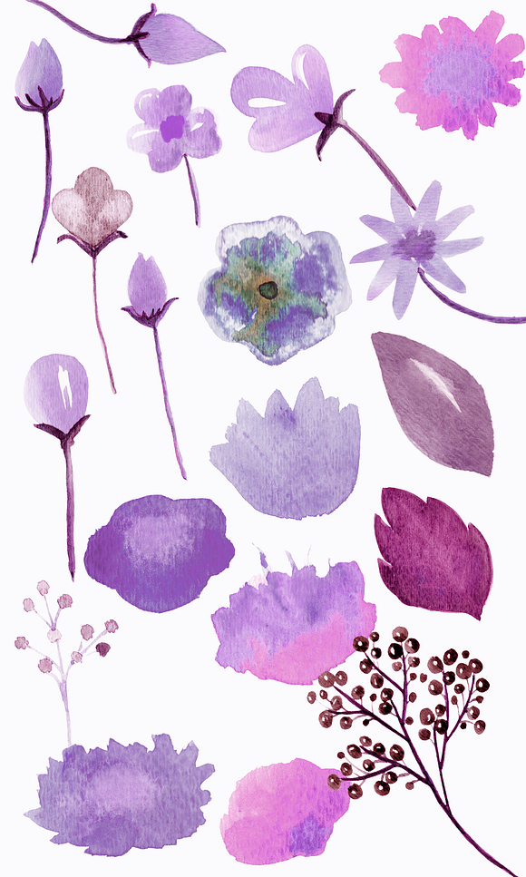 Romantic Watercolor Floral & Antlers in Illustrations - product preview 2