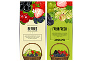Farm fresh berry flyers set