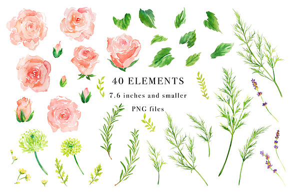 Soft Florals Watercolor Design Set in Illustrations - product preview 1