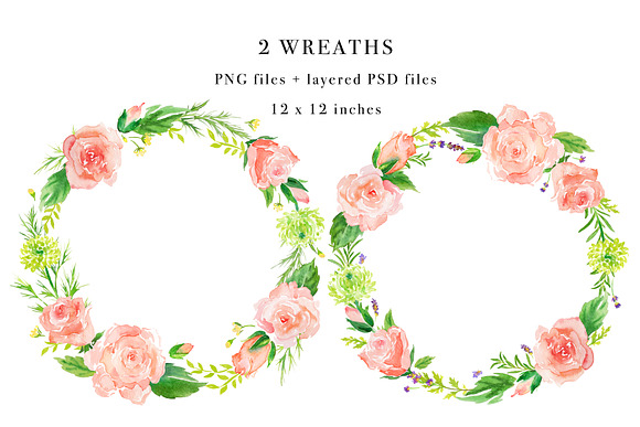 Soft Florals Watercolor Design Set in Illustrations - product preview 3