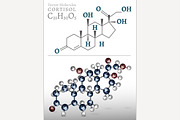Cortisol Molecule