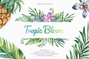 Tropic Bloom Collection