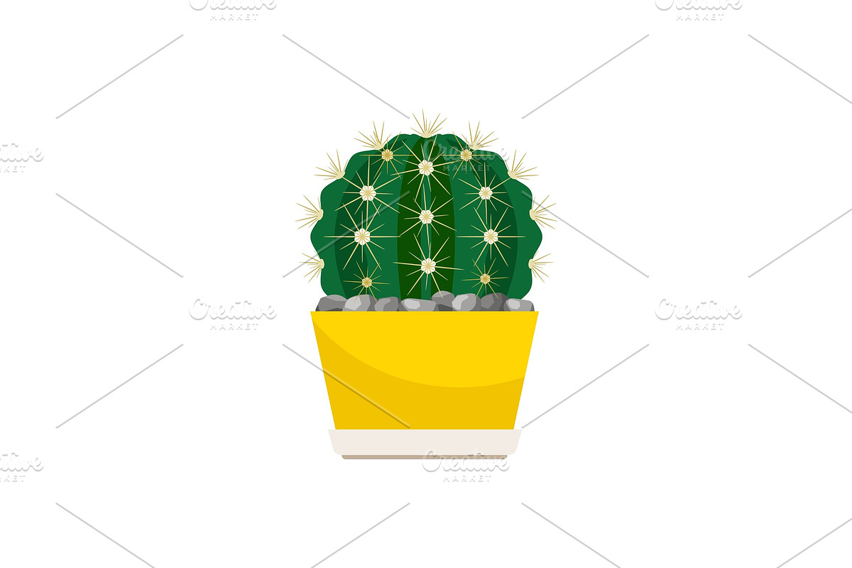 Cactus house plant in yellow pot in Illustrations - product preview 8